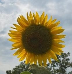 fashionx3x3's profile picture. 