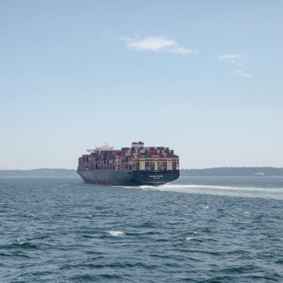 salmanliaquat's profile picture. Smart, Intelligent