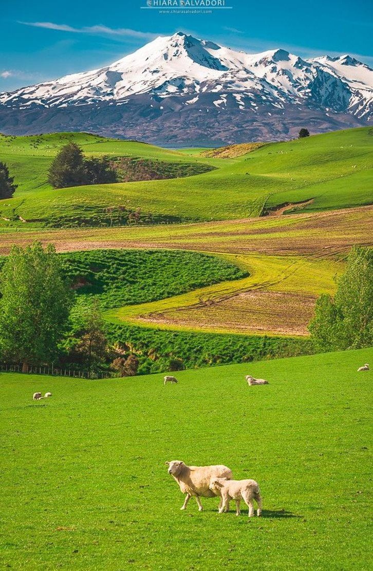 GuylemG's profile picture. 