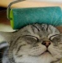 harmanthebest's profile picture. 