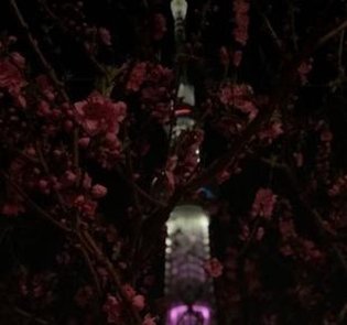 herbc101's profile picture. 