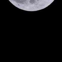 hgfhfh469252's profile picture. 