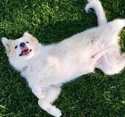 hot2girl1988's profile picture. 