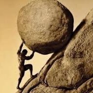 novctu's profile picture. 