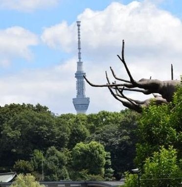 IvanPutignano's profile picture. 