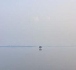 IvoryDeadDoll's profile picture. 