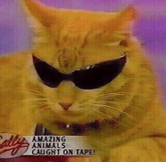 Jas0822's profile picture. 