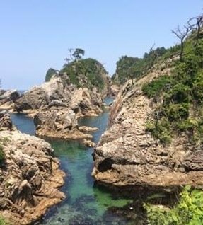 jerkboy5050's profile picture. 