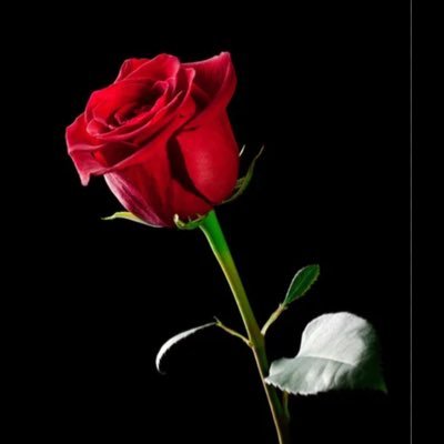 epinar84's profile picture. 