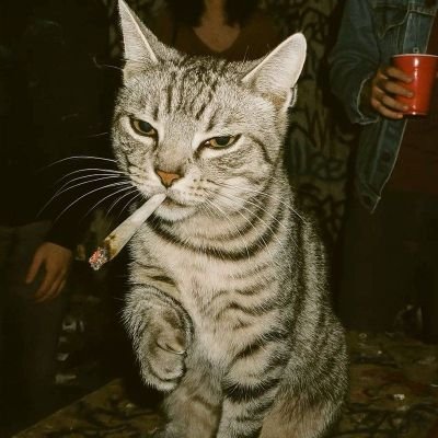 _lcxs's profile picture. 05/12 🖤🥀                                              

🎰🎭