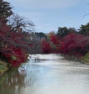 joanvanomm's profile picture. 