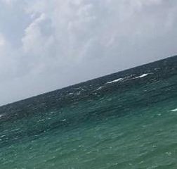 John83350274's profile picture. 