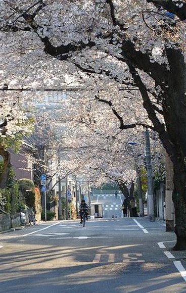 jturpening's profile picture. 