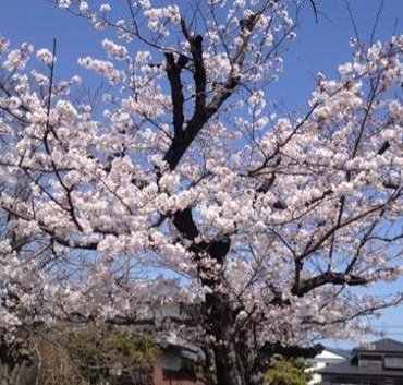 jurgiux0522's profile picture. 