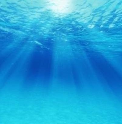 Karen80636622's profile picture. 