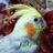 esam_bao's profile image