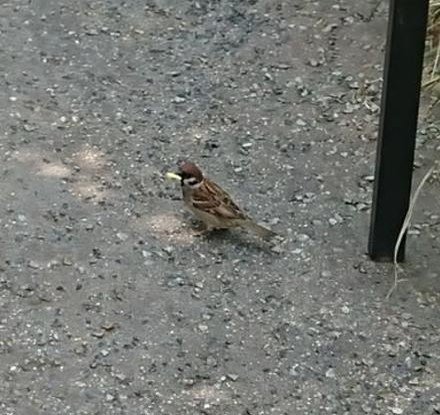 Khaileyy's profile picture. 