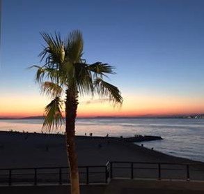 KovacevicIgor's profile picture. 