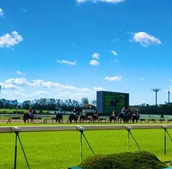 LadyVanessaH's profile picture. 