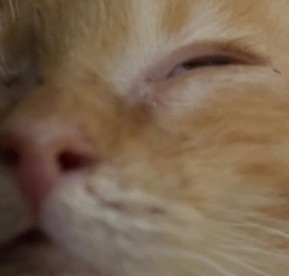 lalmiaek's profile picture. 