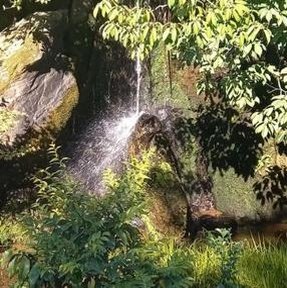 Leo19841008's profile picture. 