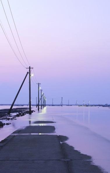 lilianacarcamo2's profile picture. 