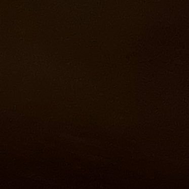 studies_pain's profile picture. 