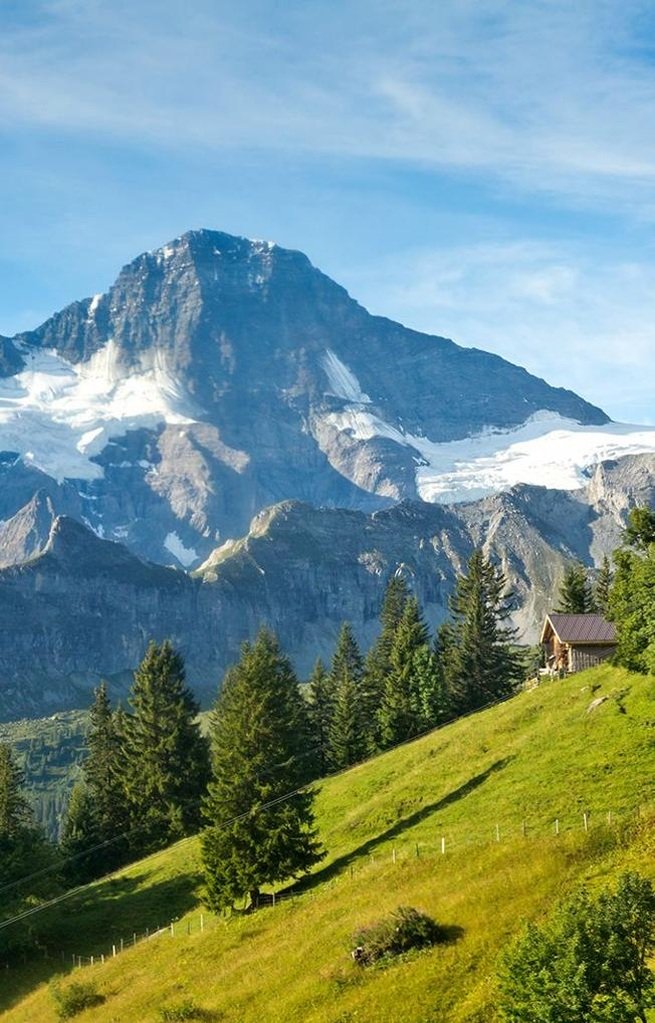 li_lisha's profile picture. 