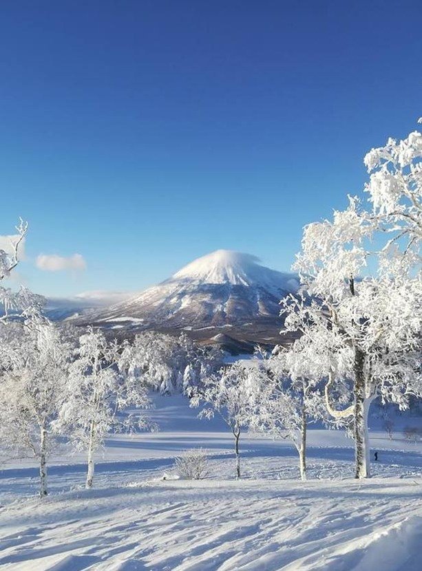 Lonischwimmen's profile picture. 