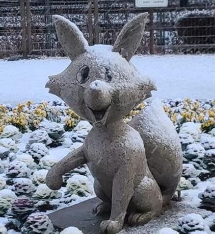 Loritojecho's profile picture. 