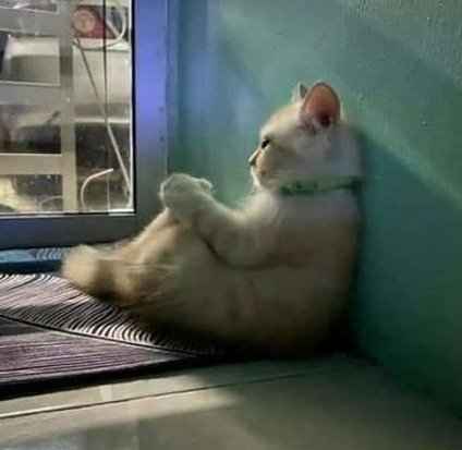 mcboubi's profile picture. 