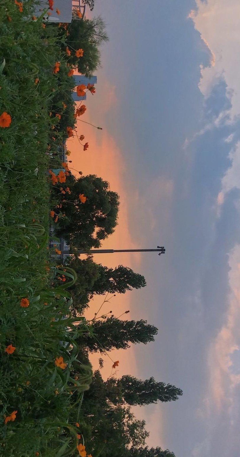 MeganWolsey's profile picture. 