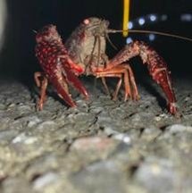 MelanieDarrow's profile picture. 