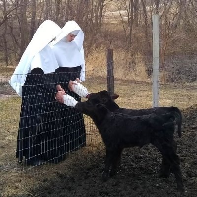 BeitELKell's profile picture. 