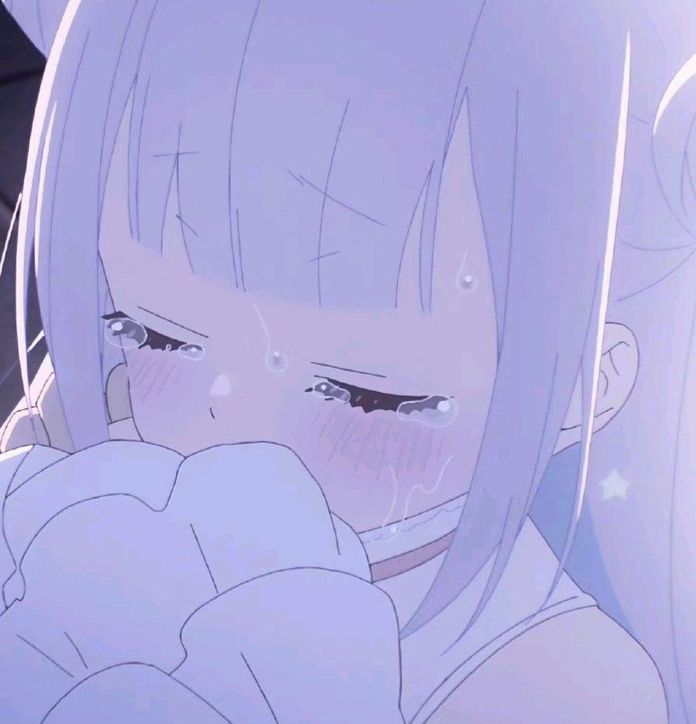 minino2u's profile picture. 