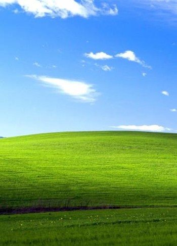 moneydvd's profile picture. 