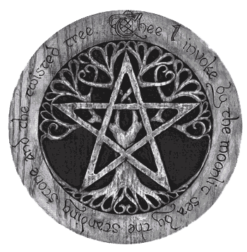 missadviT's profile picture. 