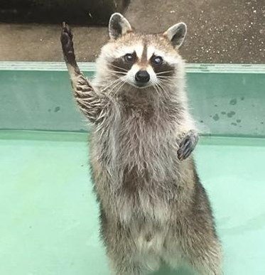 neileiza_deblle's profile picture. 