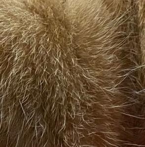 nicoletatoma78's profile picture. 