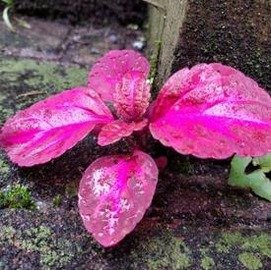 Noelle87's profile picture. 