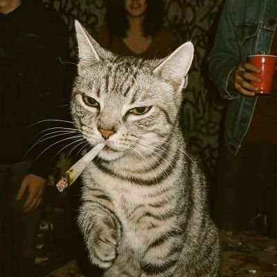 vicdiamant's profile picture. ffc