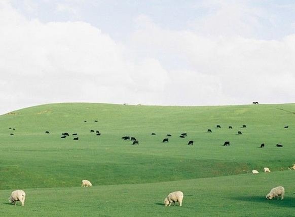 opas9193's profile picture. 