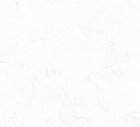 palmavega's profile picture. 