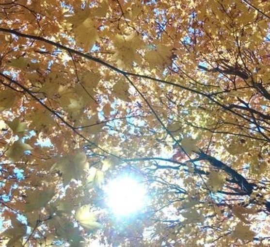 patygeissler's profile picture. 