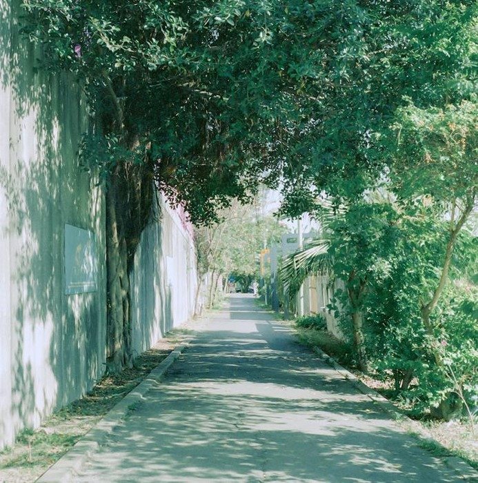 pun1750's profile picture. 