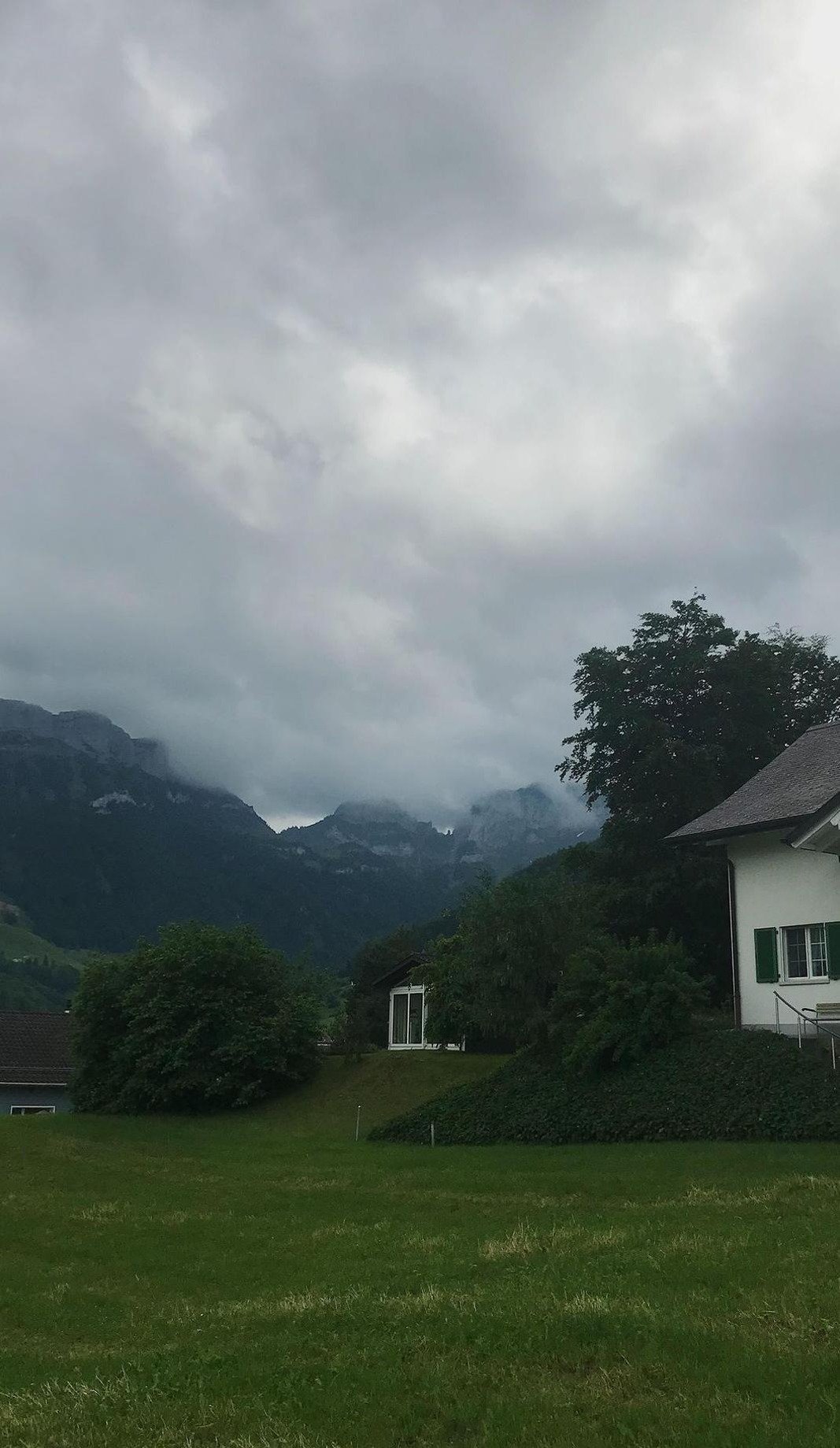 raeheezy's profile picture. 