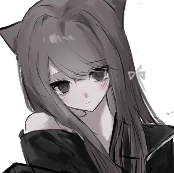 rajairlink's profile picture. 