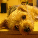 mu2la's profile picture. トレンドと需給だけが友達さ ╰( 'ω')╮ -=ﾆ◓
Fish where the fish are.