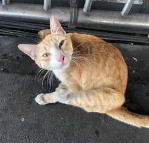 RitaJohnso94460's profile picture. 