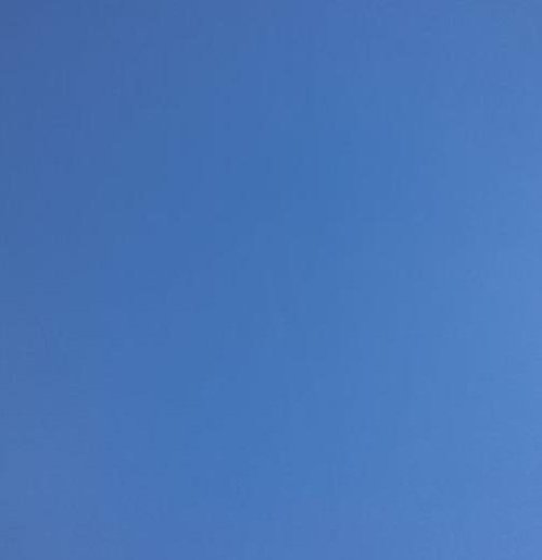 ritutrehan87's profile picture. 